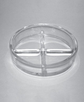 Petrie Dish, Pyrex Glass/Divided into 4 quadrants